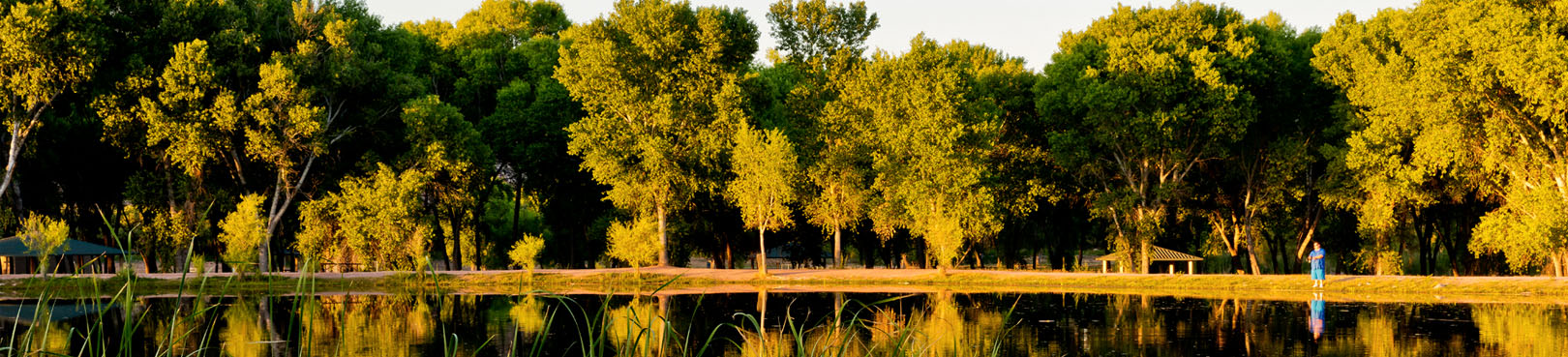 Trees surround the lagoon at Dead Horse Ranch State Park