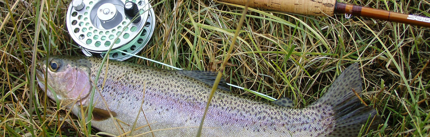 Trout Fishing at a Public Park - Realistic Fishing