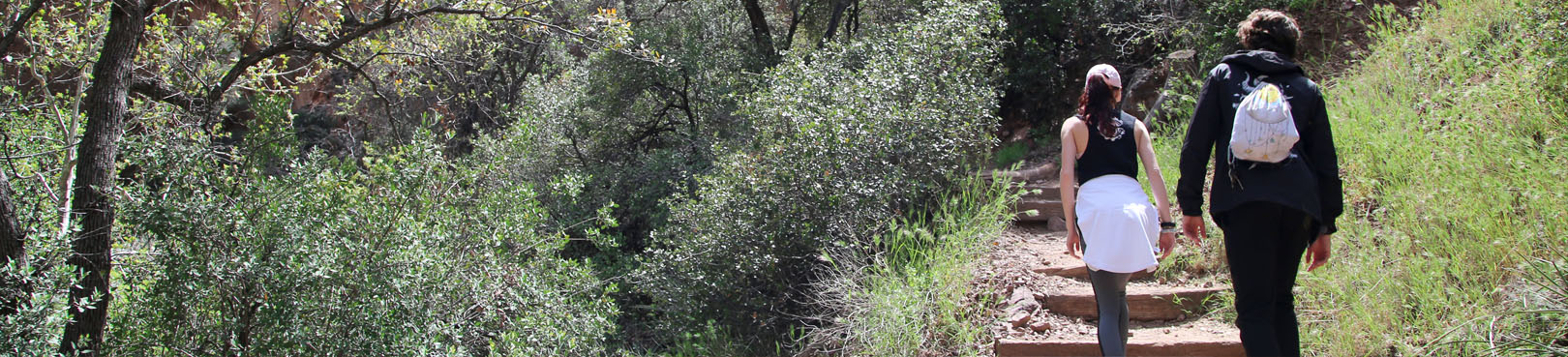 Two hikers on a midday hike down a park trail while surrounded by various oak species and other high desert vegetation.