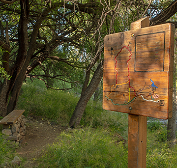 Sonoita Creek State Natural Area | Arizona