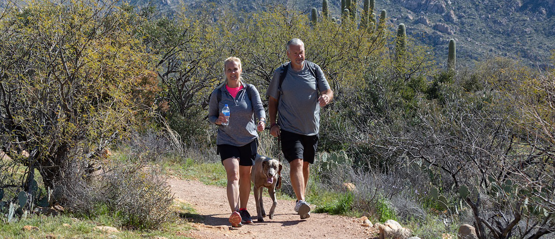 A man, woman and leashed dog hike along a trail at Catalina State Park
