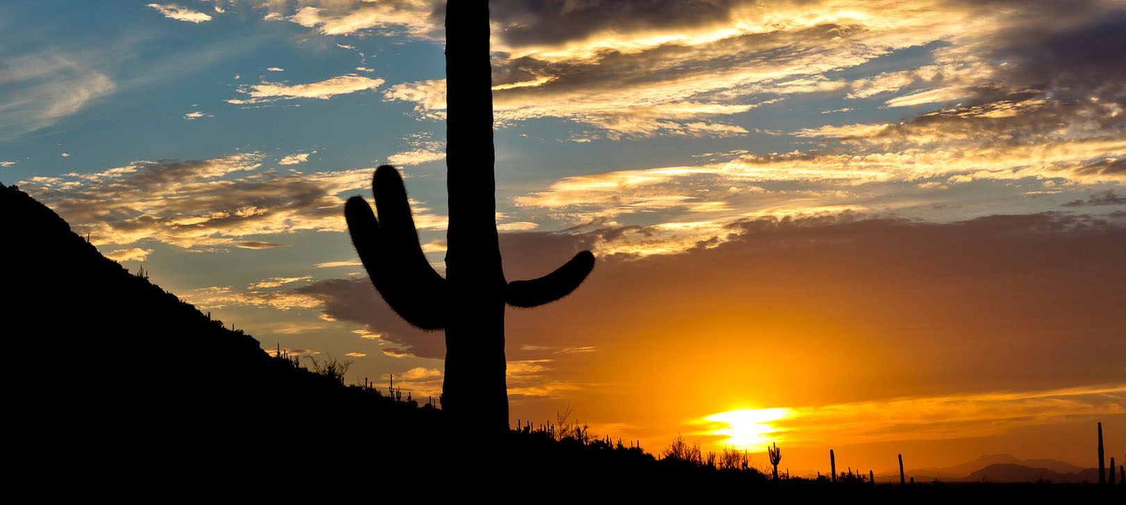The sun sets through a saguaro's arms behind the mountain at Picacho Peak