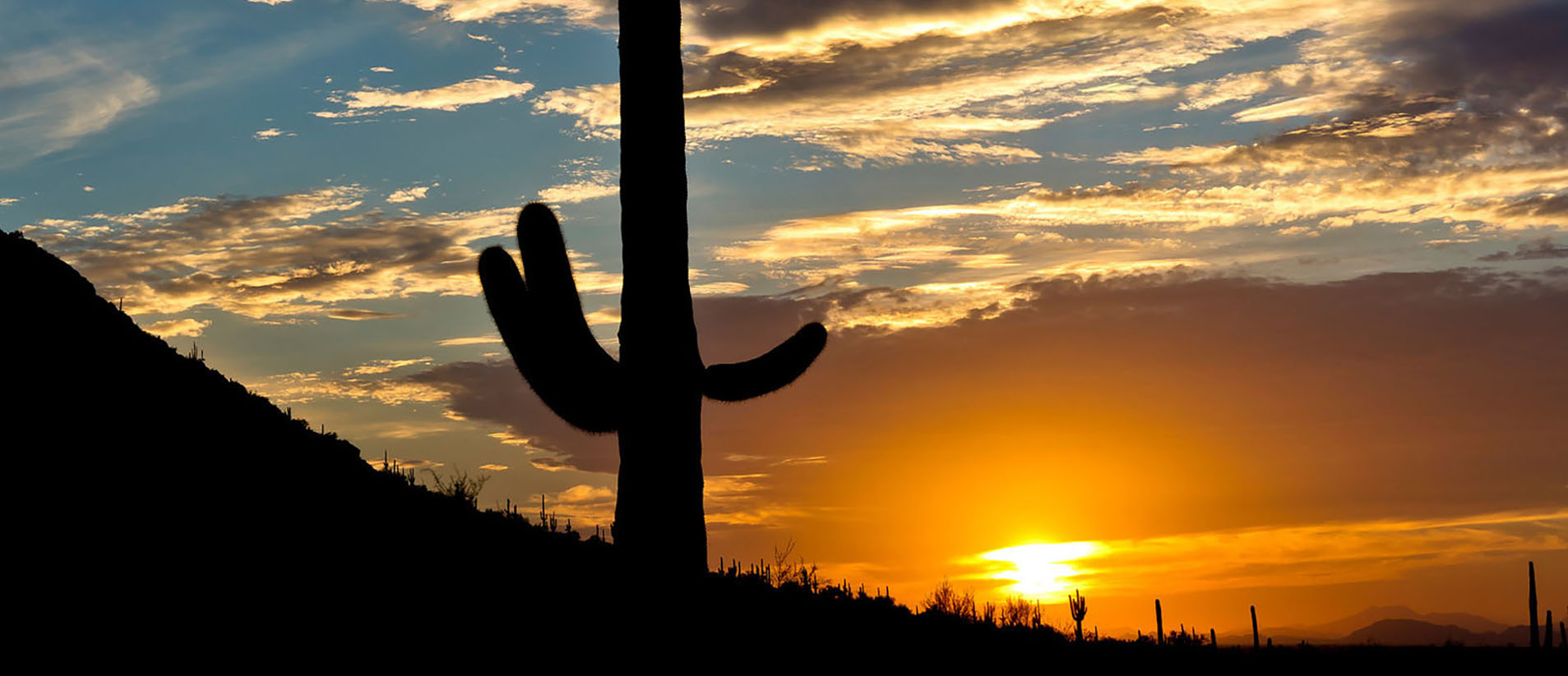 The sun sets through a saguaro's arms behind the mountain at Picacho Peak