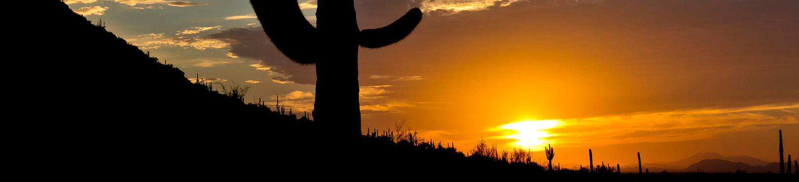 Mountainside saguaros silhouetted black against the bright orange backdrop of a Sonoran Desert sunset.