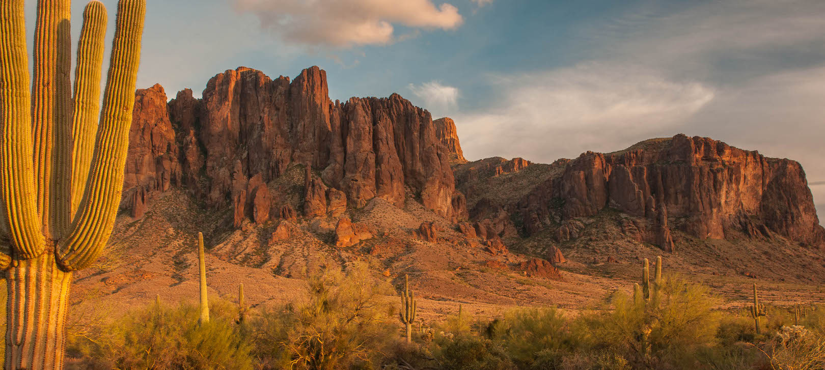 A view of the Superstition Mountains with a saguaro in the foreground