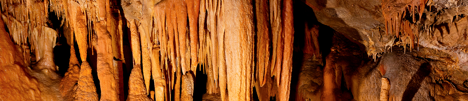 Orange cave formations hang ominously from the ceiling of Kartchner's cave.