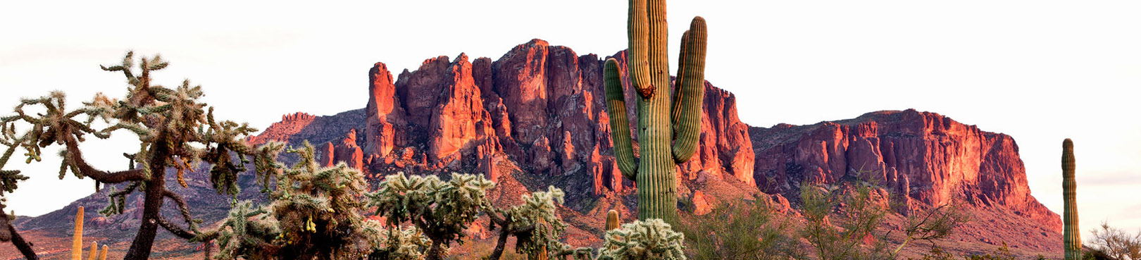 are dogs allowed at lost dutchman state park