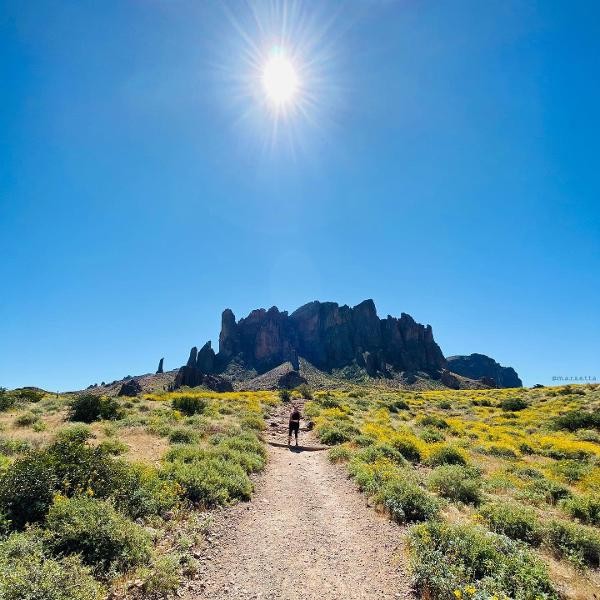 A hiker on the trail at Lost Dutchman State Park 