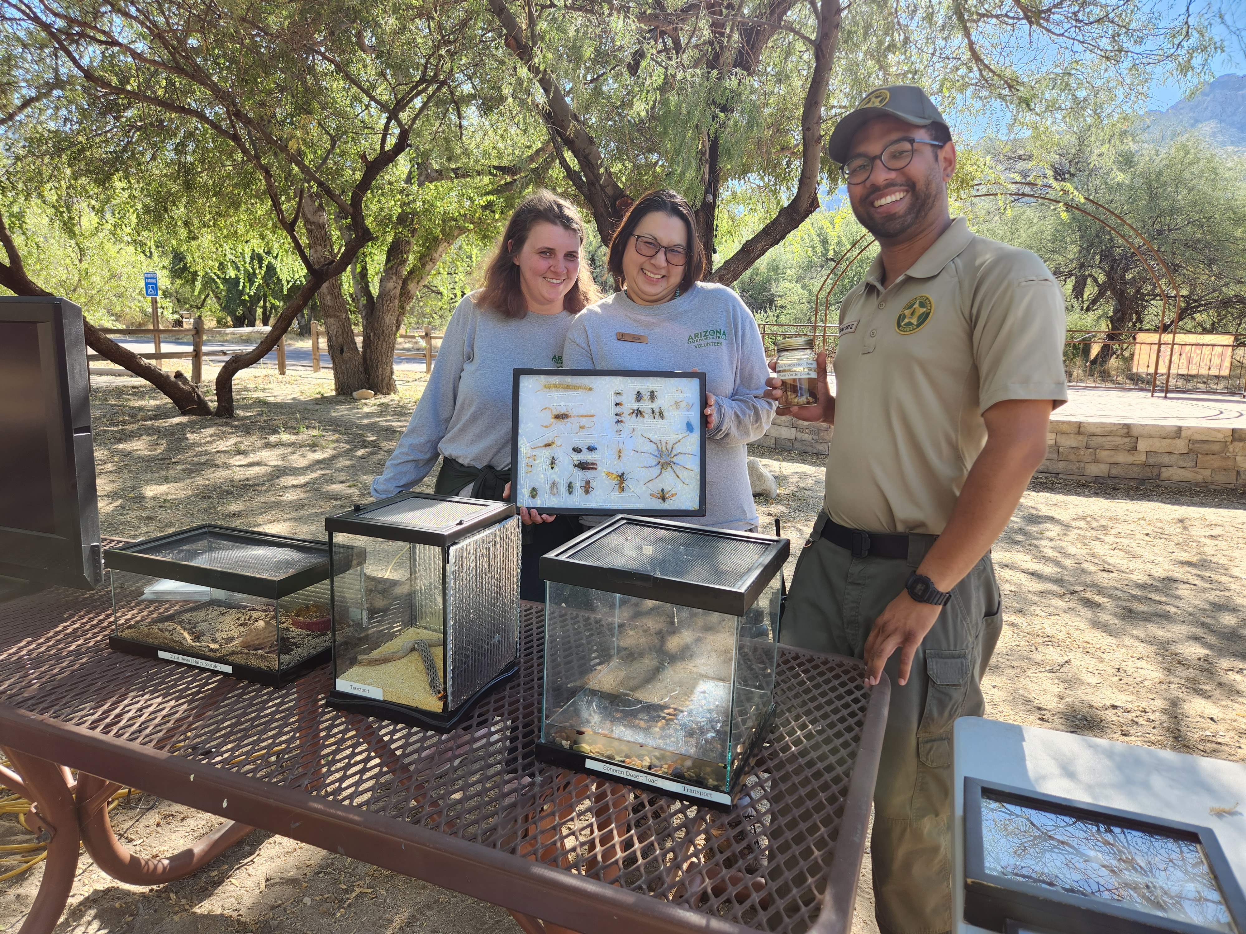 A park ranger and two volunteers stand at a nature display on a picnic table set up in the park underneath the trees. The dispaly includes desert animals and one of the volunteers holds a board with a pinned insect display.