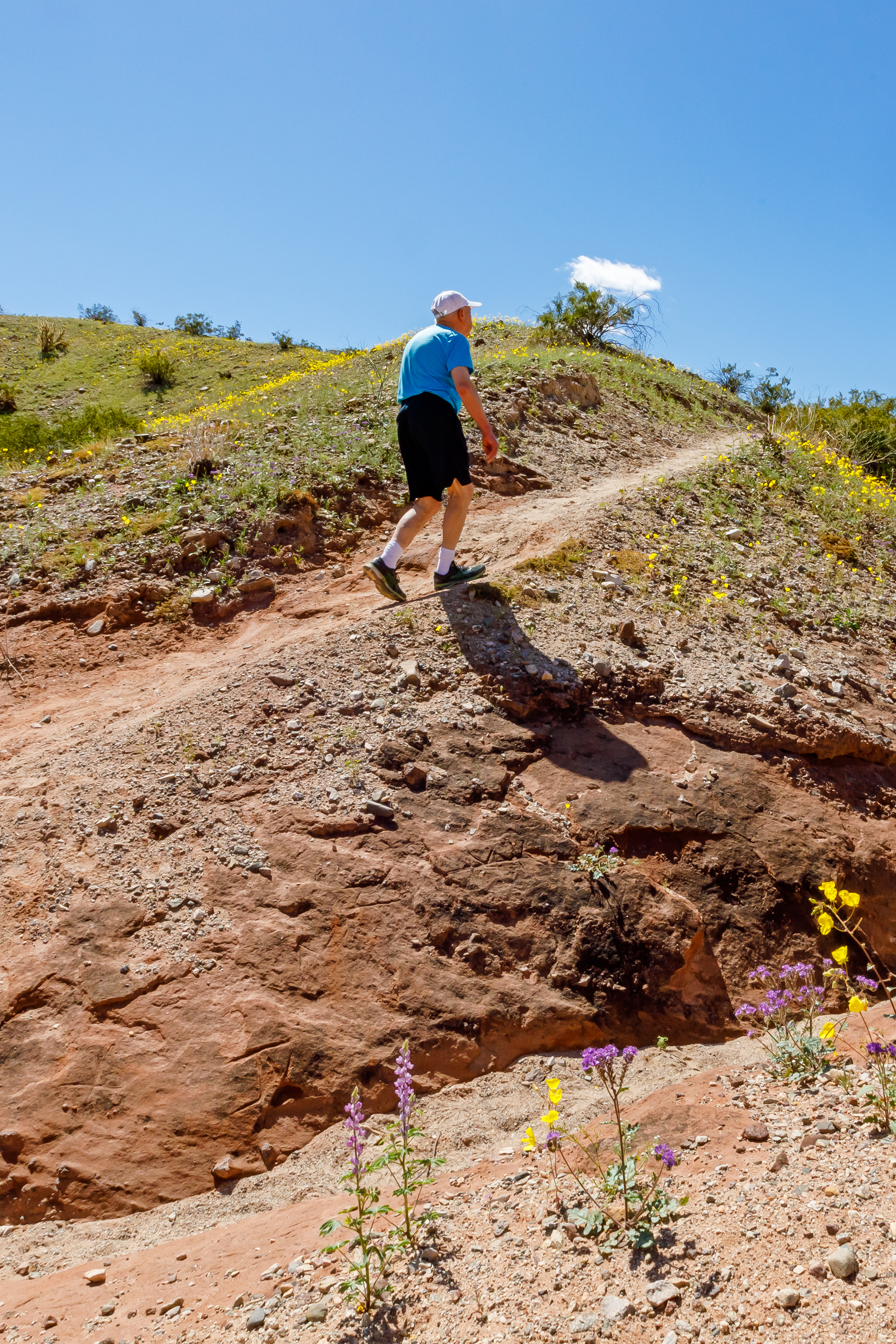 Man hiking along a river trail at Cattail Cove State Park in Lake Havasu City, AZ.