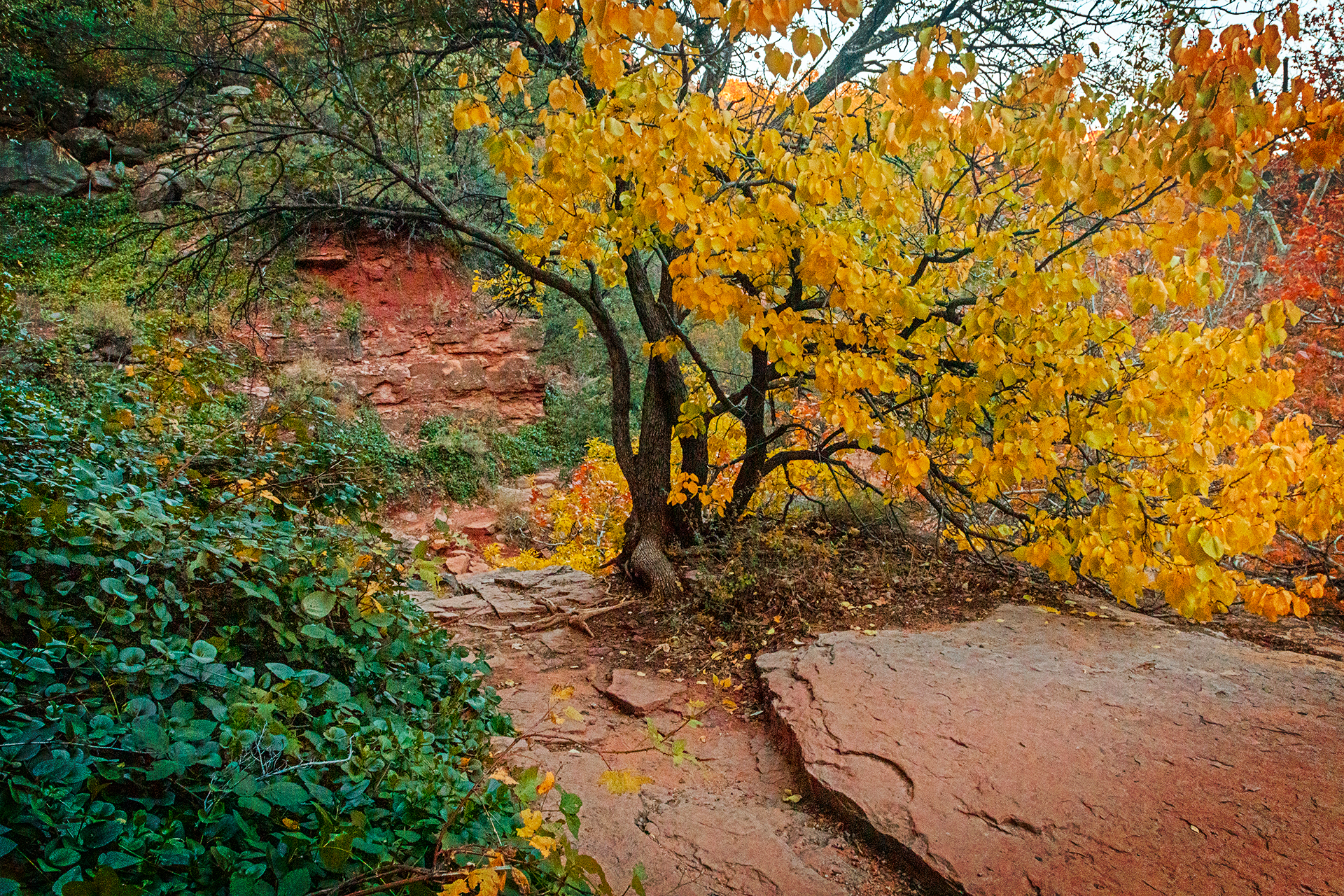 Fall Colors Slide Rock State Park