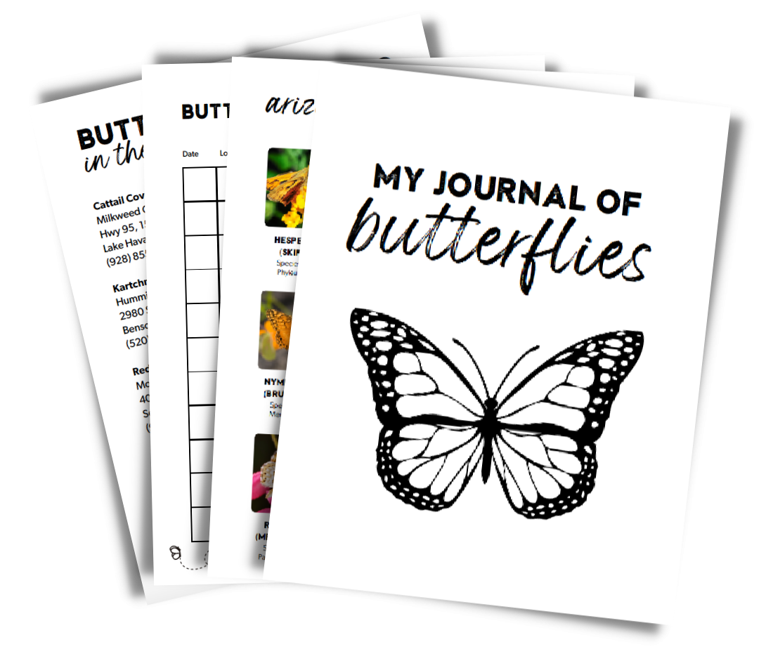 Butterfly observation journal