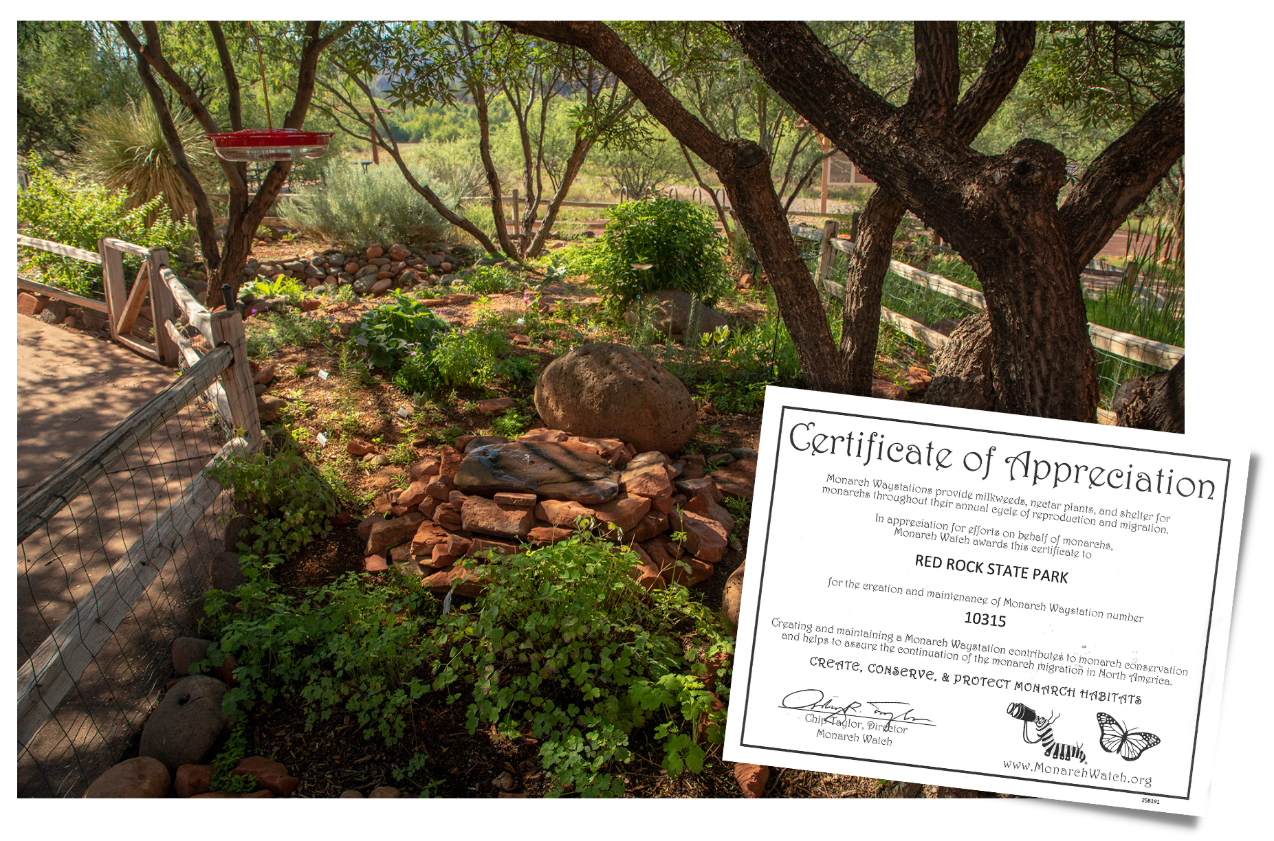 Monarch Waystation at Red Rock State Park in Sedona, Arizona