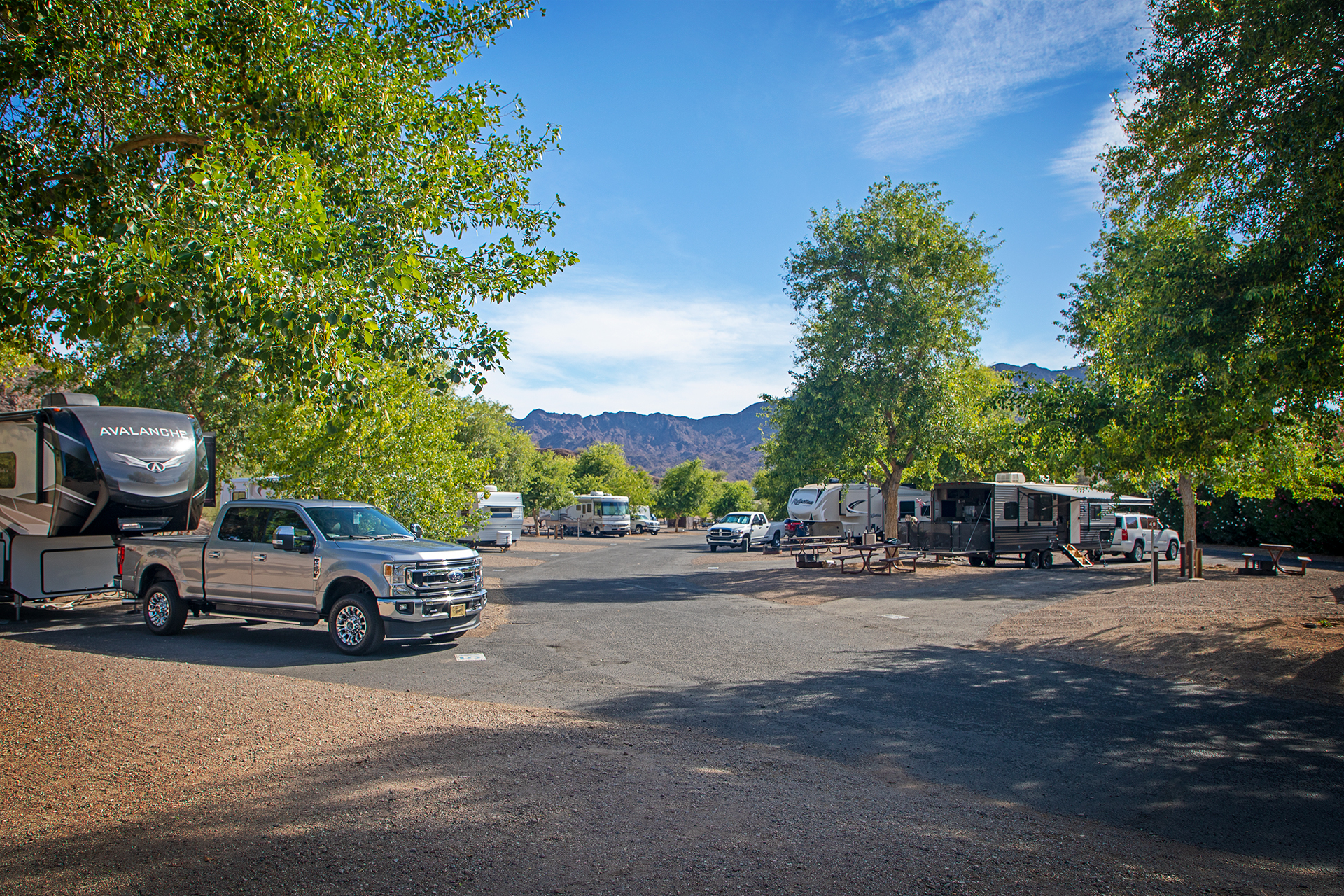 A view of RVs in the campground at Cattail Cove State Park in Lake Havasu