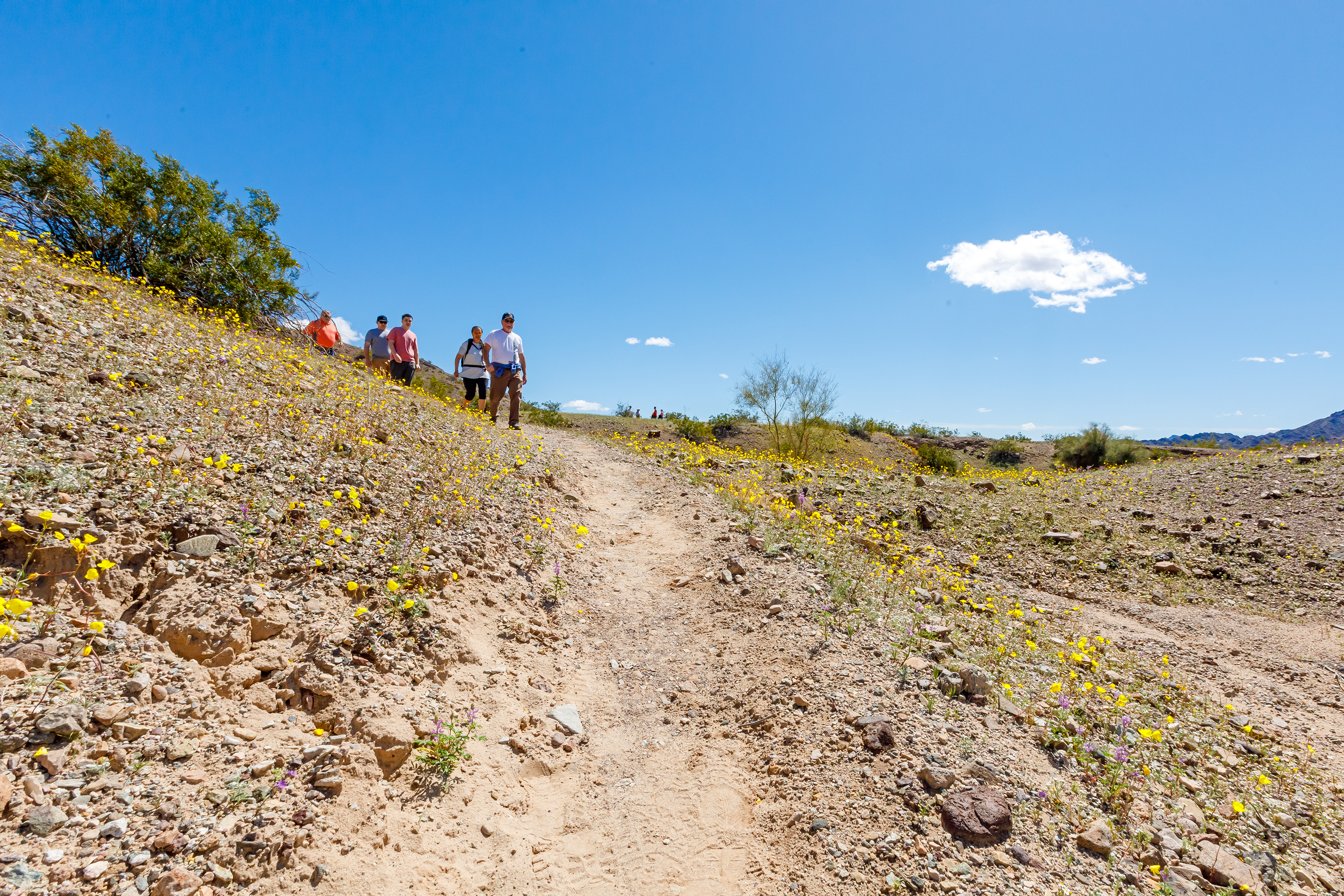 Hikers on the trail at Cattail Cove State Park