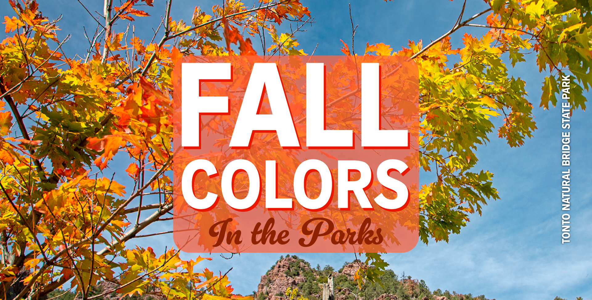 Fall colors in the parks is overlayed on orange and yellow leaves at Tonto Natural Bridge State Park