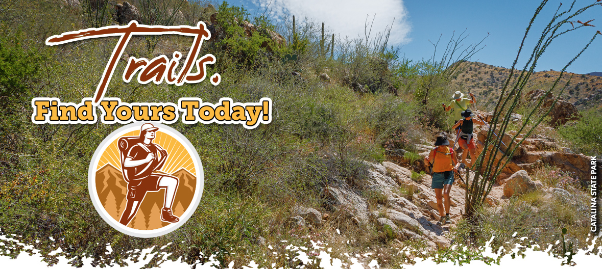 Find Your Trail - hiking at Picacho Peak State Park
