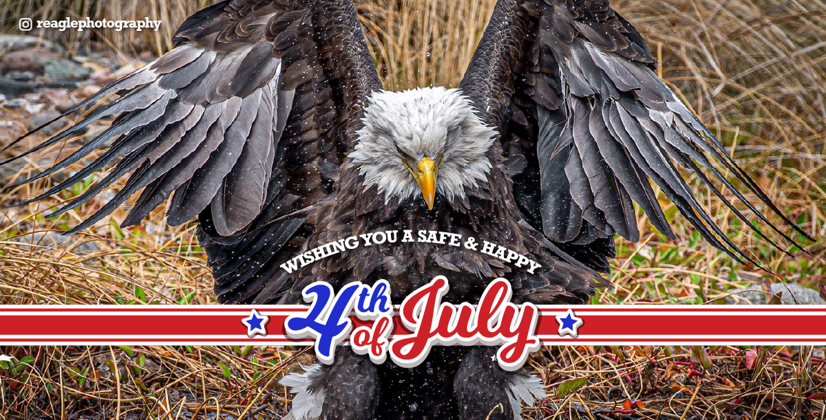 Hava a safe and happy 4th of July