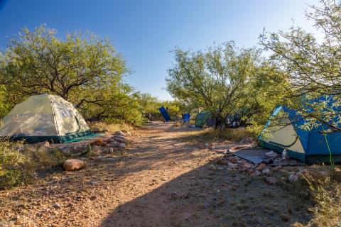 Tents are set up in a group area opposite each other on a dirt path. Green trees surround the area.