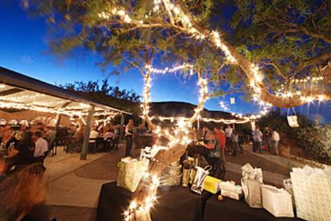 A wedding reception illuminated by twinkle lights in the trees and under a ramada.