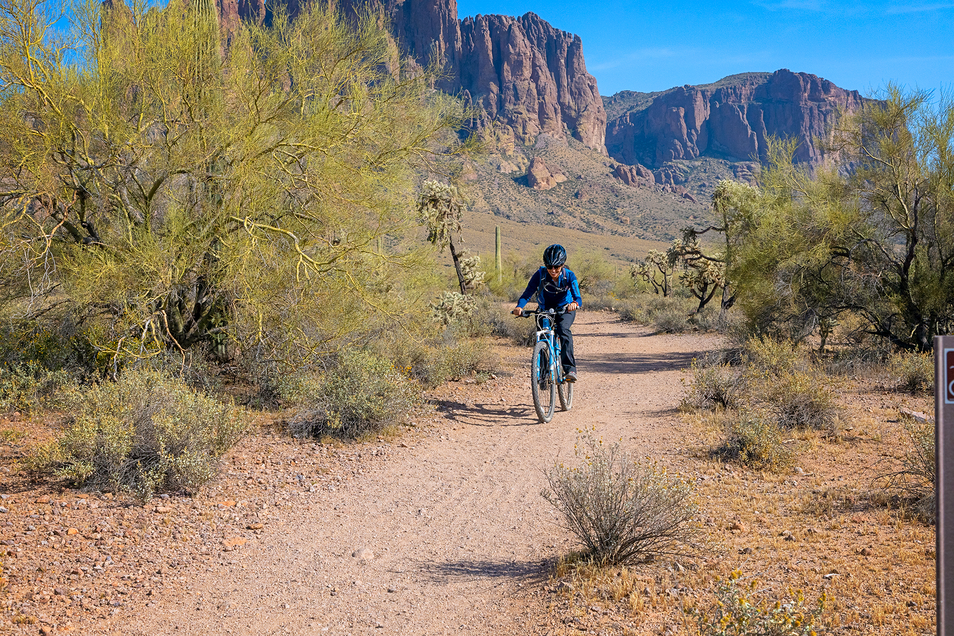 A person riding a bike on a desert trail bordered by palo verde trees in front of a mountain range.