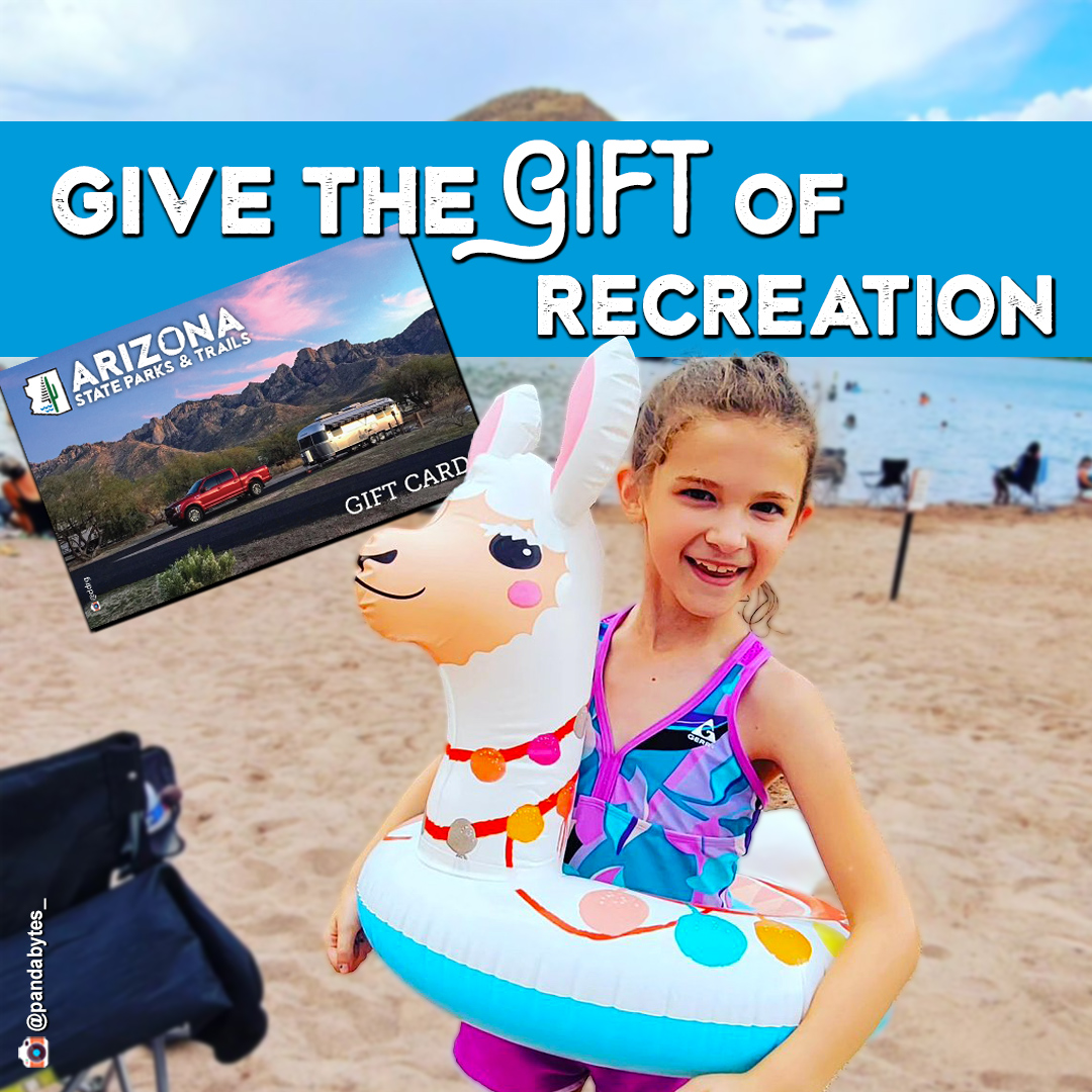 A young girl in a llama floaty on a state park beach - give the gift of recreation