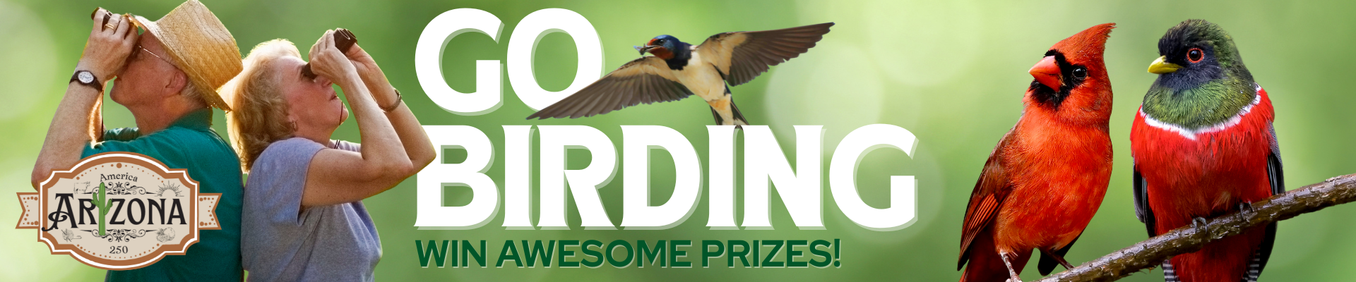 Two birders scan the sky with binoculars. A nnorthern cardinal and an elegant trogon sit on a limb and a swallow flies through the "Go birding win awesome prizes" overlay.