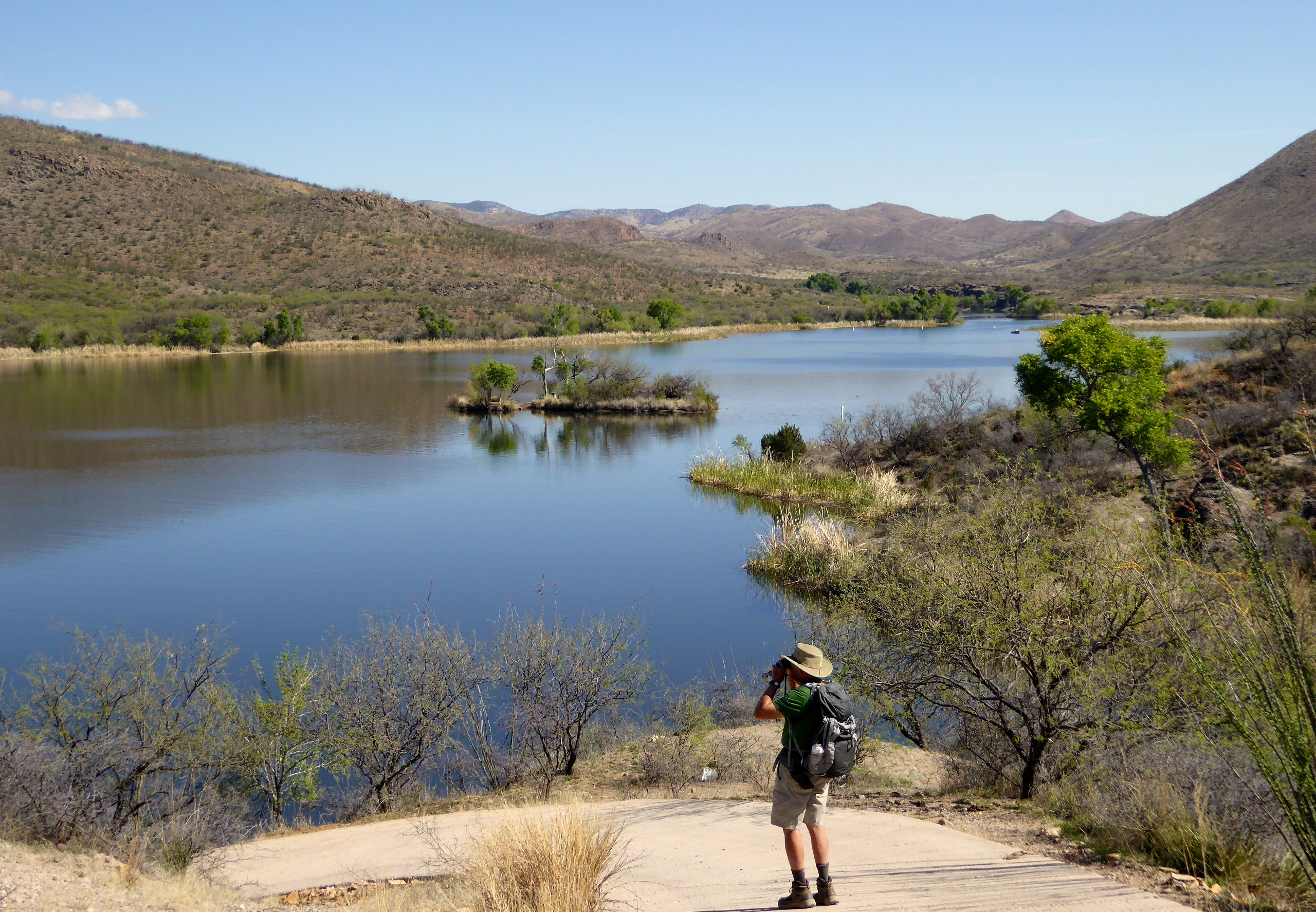 Birding in southern Arizona at Patagonia Lake State Park