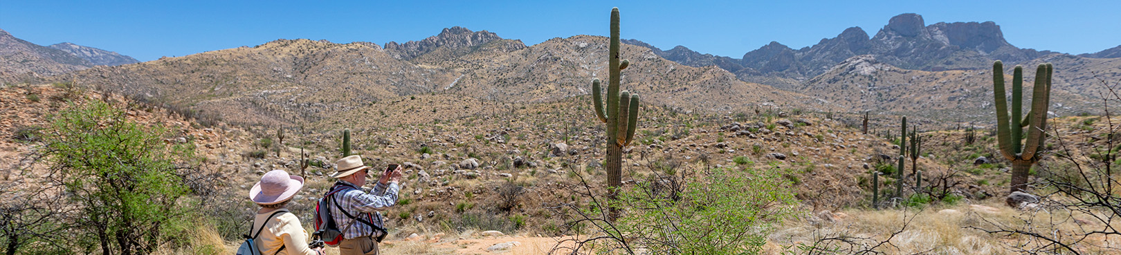 Two hikers appreciate a panoramic view of the Catalina Mountains from a saguaro studded trail at Catalina State Park.