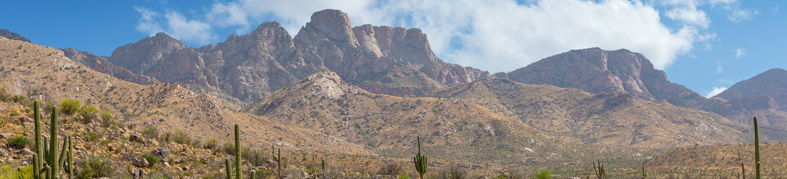 A Panoramic view of the Santa Catalina Mountains with saguaros in the foreground against a backdrop of partly cloudy Southern Arizona sky.