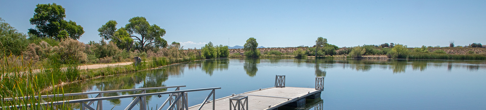 A metal dock extends over the water at Dankworth pond where green vegetation and blue skies reflect off the calm lake surface.