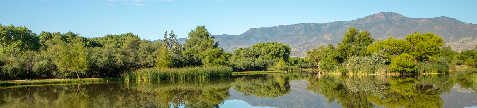 A panoramic view of lush green vegetation and Mingus Mountain reflecting from the calm surface of a lagoon.