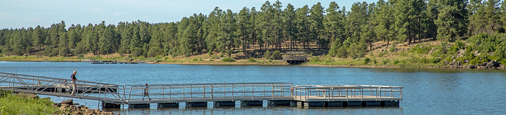 A lone angler walks out on the long metal dock floating in a lake lined with ponderosa pine trees.