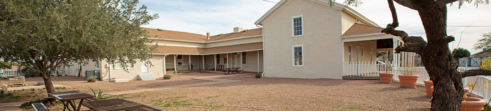 A view of the park courtyard that includes mature rooted trees that birds love to frequent and new growth in pots that line a white picket fence.