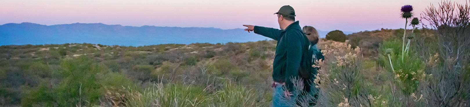 A hiker points to an unknown reference in the distance amid the desert brush and pinkish glow of sunset.