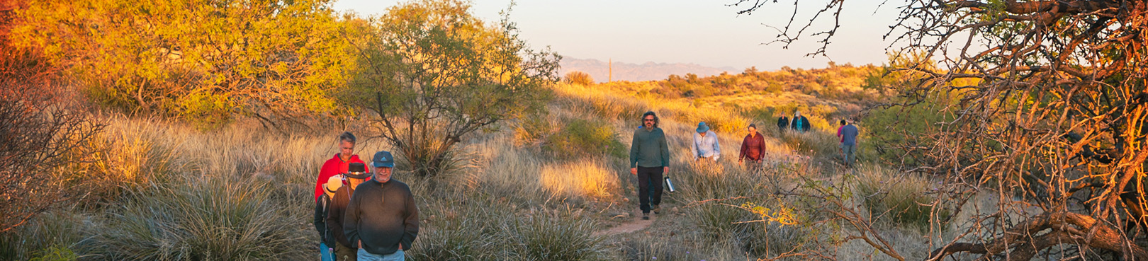 A group of hikers almost lit up by the rising sun explore the Oracle State Park trail system on a chilly morning.