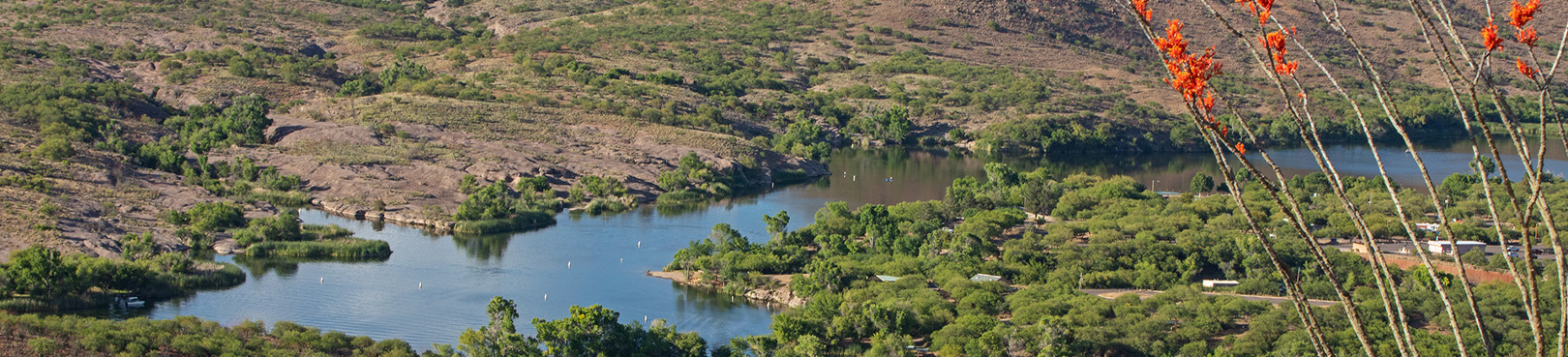 A wide view of Patagonia Lake from a nearby hilltop while looking through a crimson topped ocotillo.