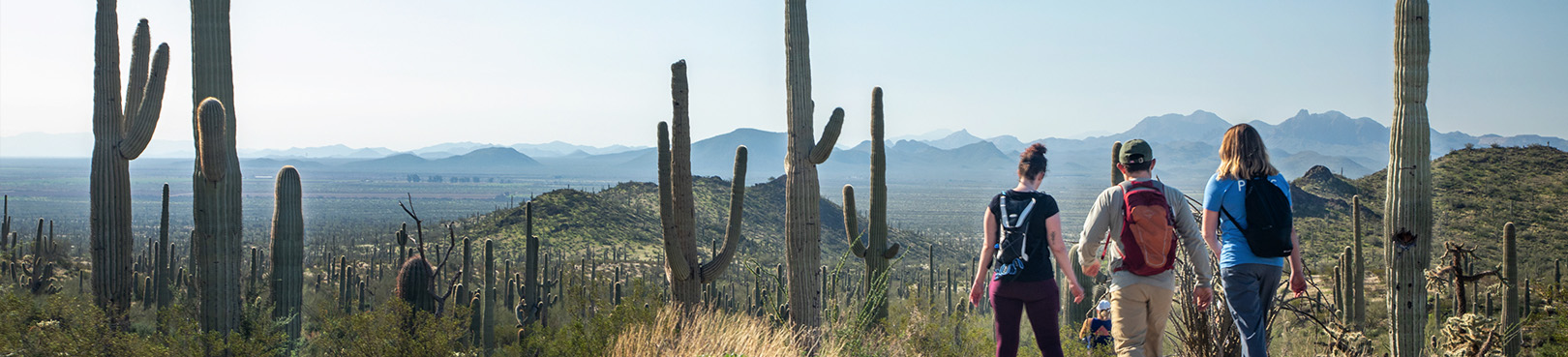 Trails  Picacho Peak State Park