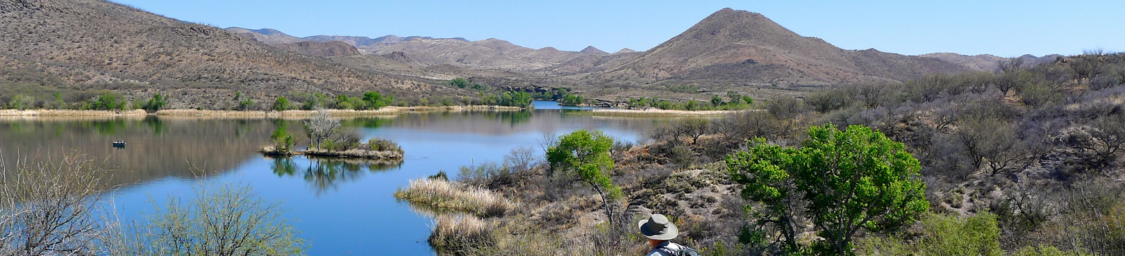 An elevated view of Patagonia Lake and the surrounding high-desert landscape from a trail at the Sonoita Creek entrance.