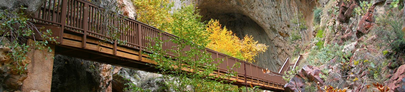 Turkey Creek Bridge - Bridges and Tunnels