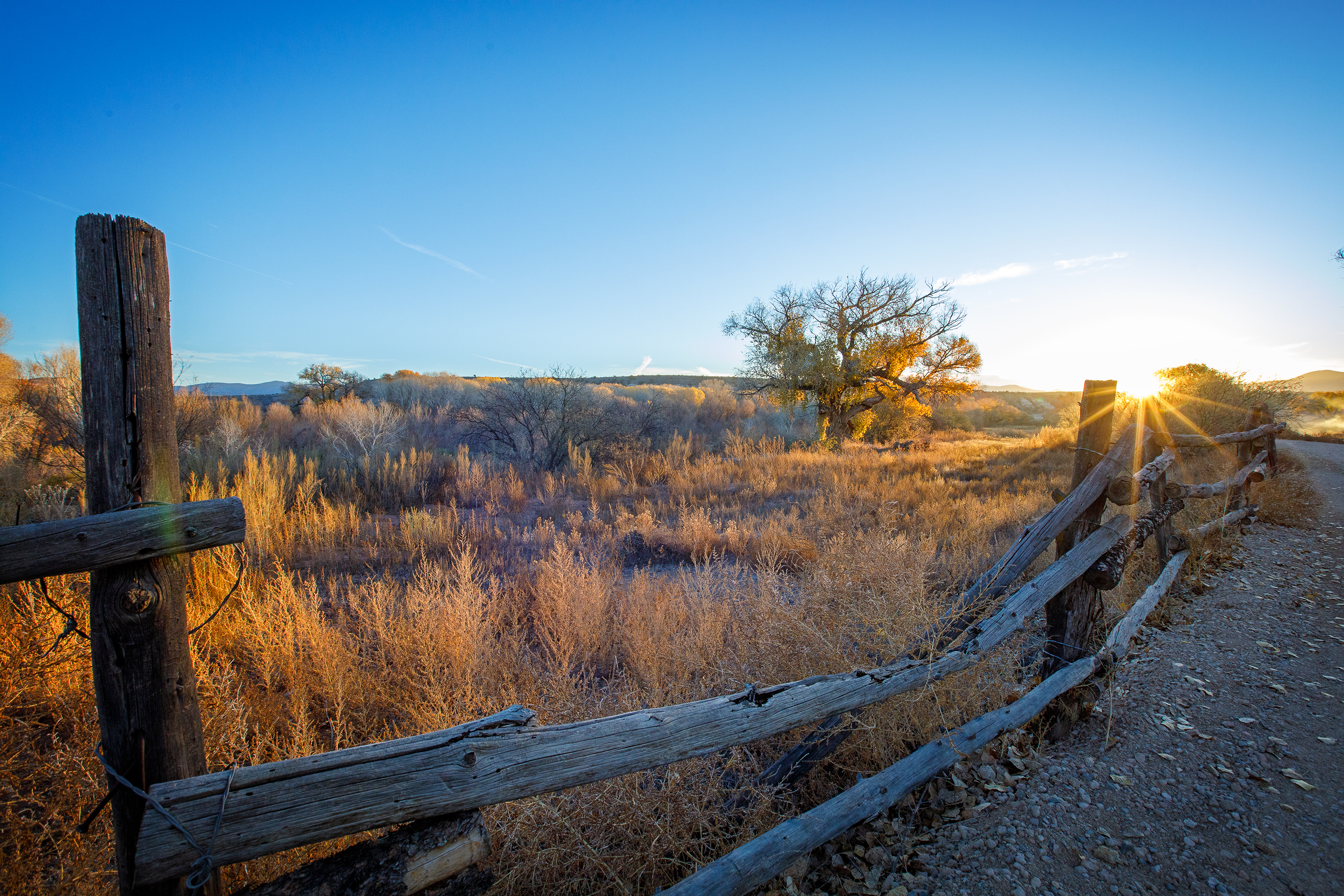 A grass area bordered by a wooden fence is illuminated with a golden light from the rising sun.