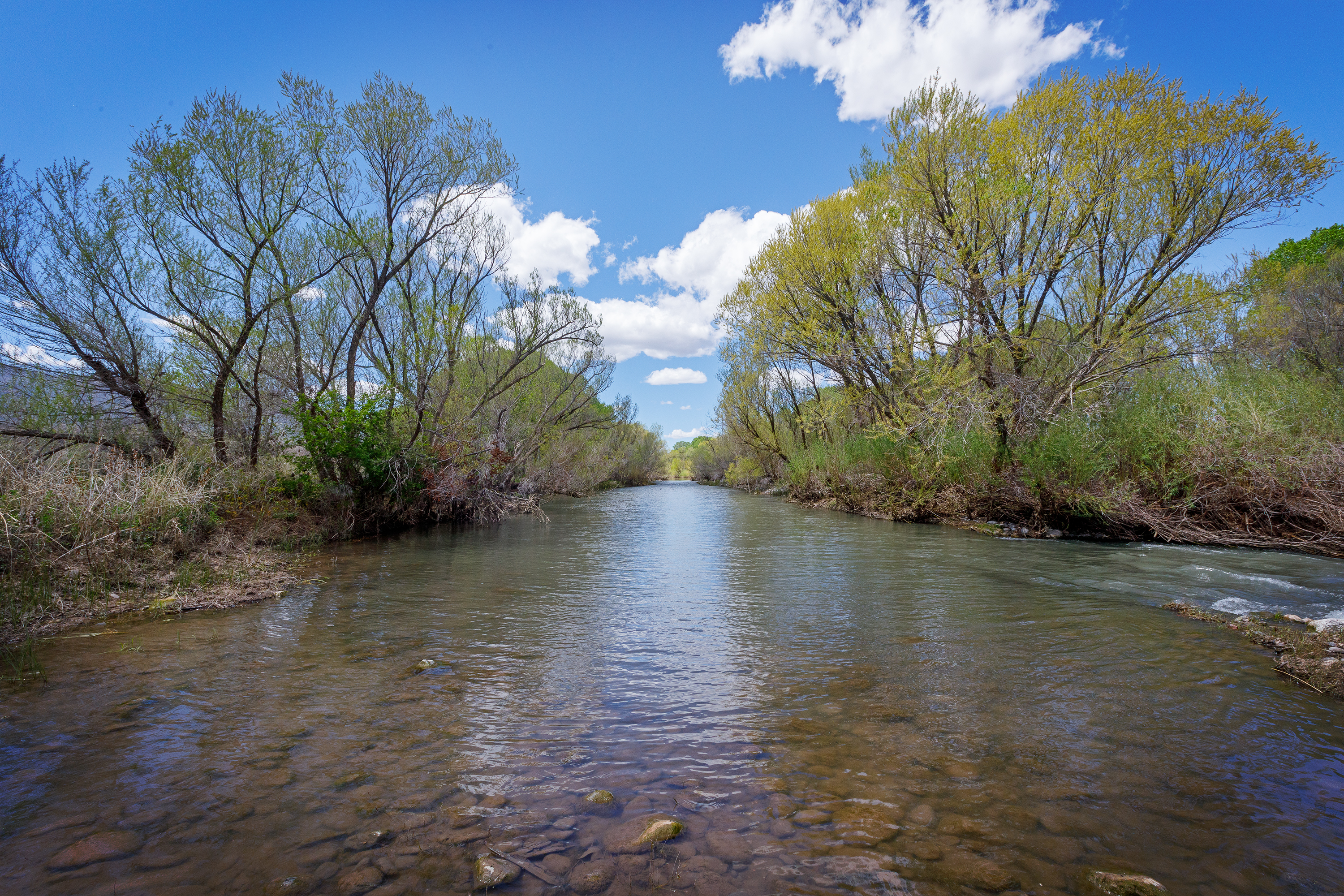 The Verde River flows through Rockin' River Ranch State Park, lined with green riparian area.