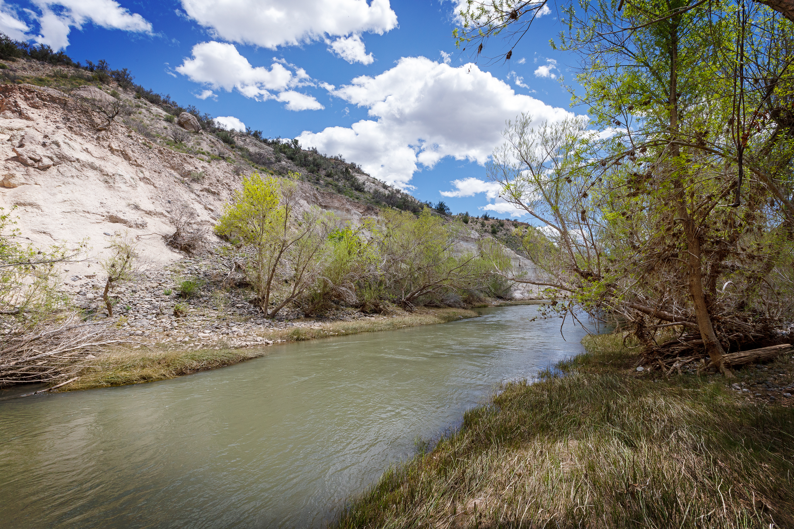 The white cliffs along the Verde River in the park