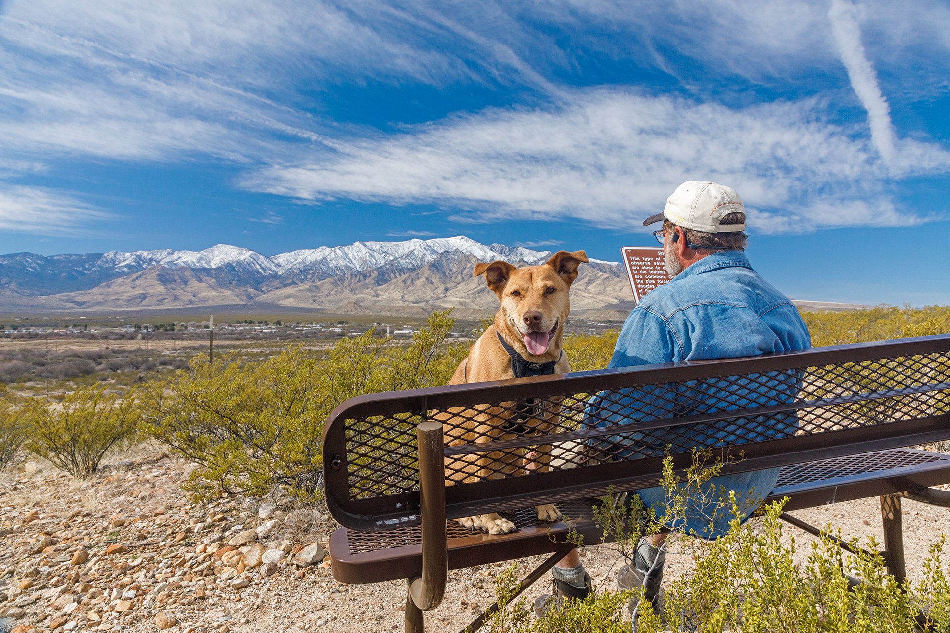 A man and his dog sit on one of the park benches overlooking the trail and Mt. Graham in the distance