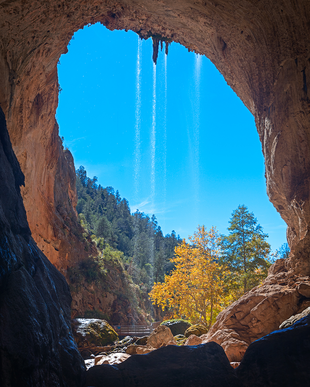 A view of fall leaves on a tree through the natrual travertine bridge with a blue sky and small waterfall