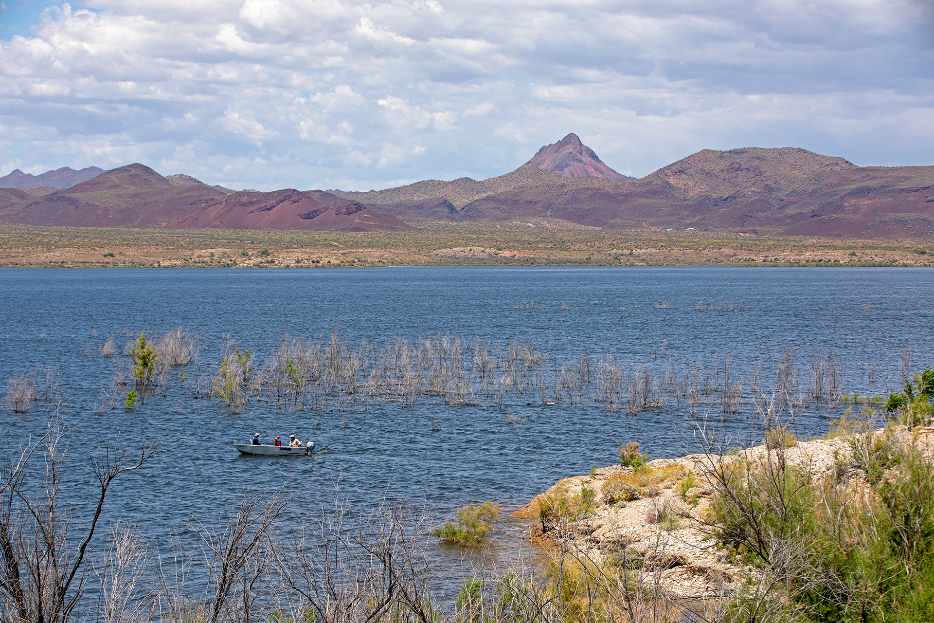 Alamo Lake with mountains in the background