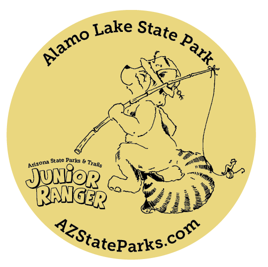 Jr. Ranger button featuring Rocky Ringtail