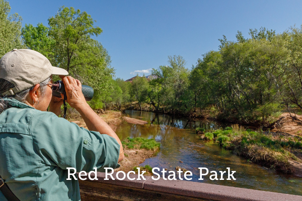 A birder stands on a bridge overlooking a river. She wears a green shirt and a baseball cap and is holding binoculars up to look through them. The creek is bordered by green trees. Text over the photo reads Red Rock State Park.