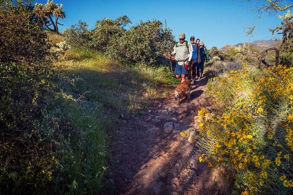 A group hikes with their dog along a trail at Lost Dutchman State Park