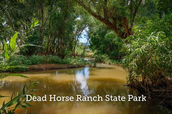 A river, brown with silt, flows through a green, wooded area. Text over the photo reads Dead Horse Ranch State Park.